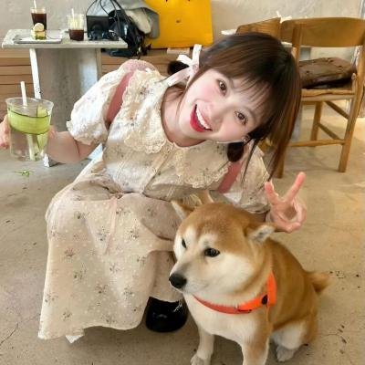 圣法兰西斯港记事